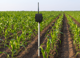 Cold Chain Assurance in Dairy Processing dup