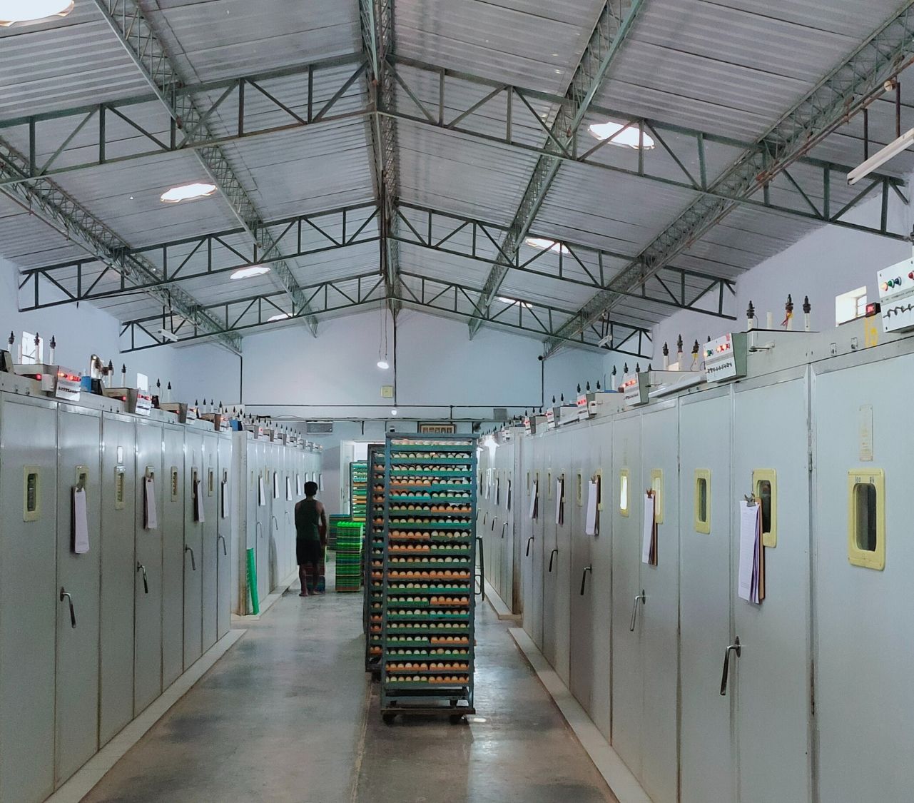 Smart Poultry Hatchery Solution