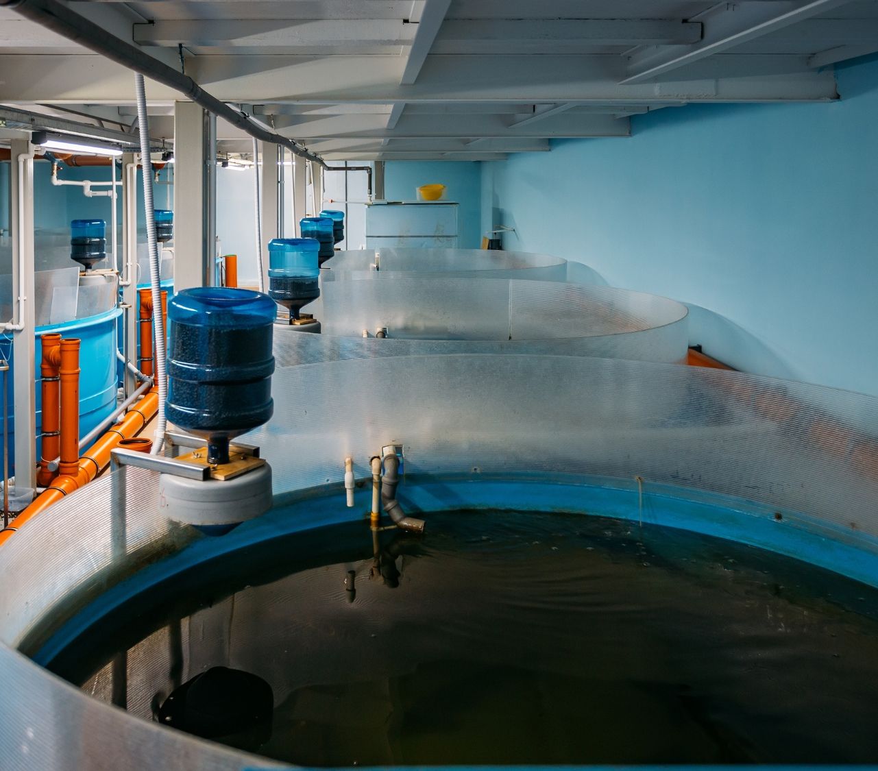 Water Quality Monitoring for Shrimp