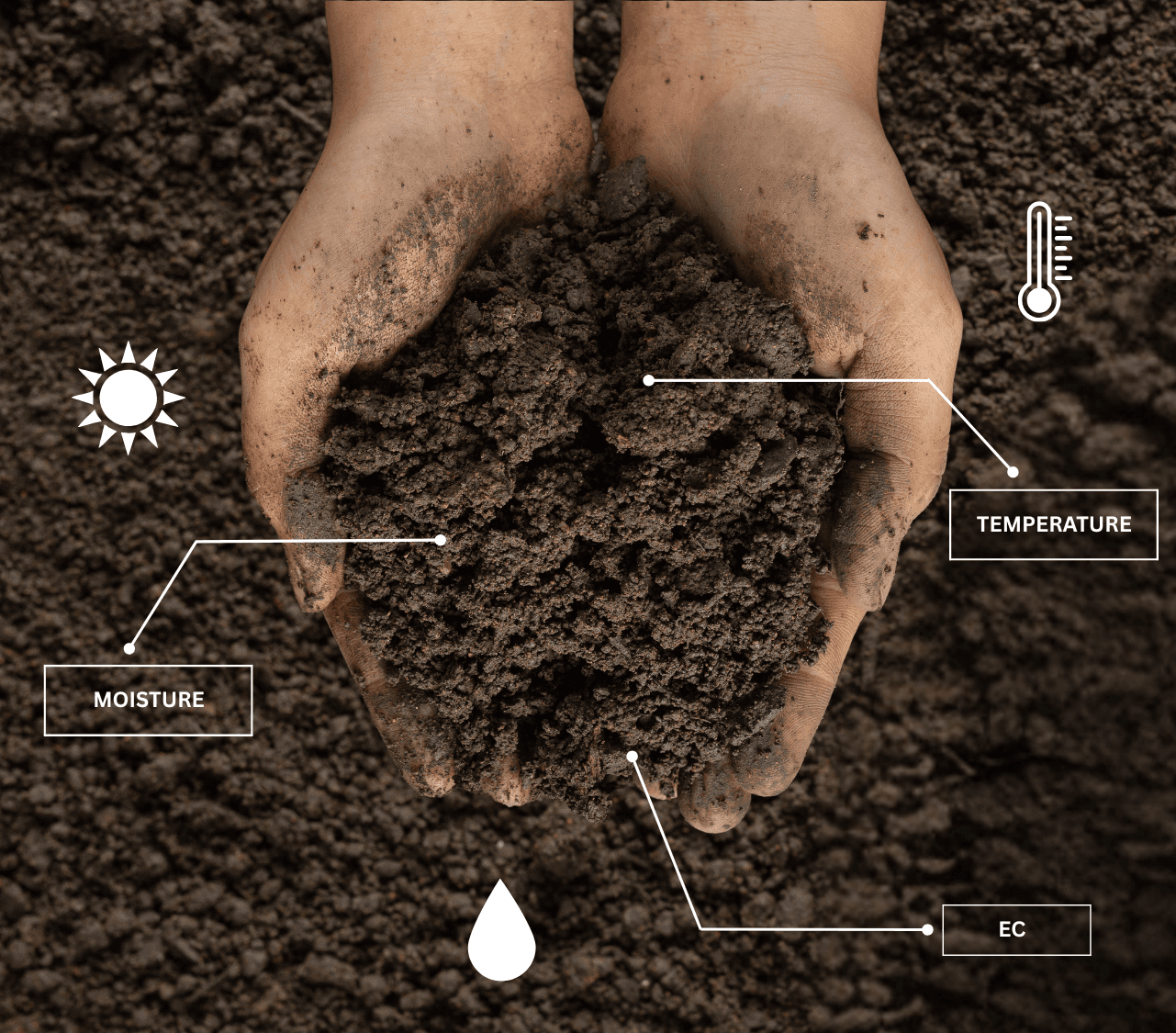 Research-Driven Smart Soil Monitoring at Avinashilingam