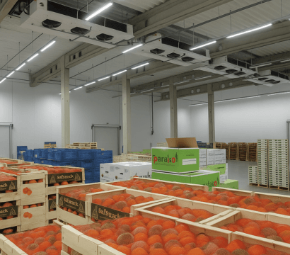 Temperature-Based Hooter Alarm System for Cold Rooms