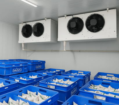 Cold Chain Assurance in Dairy Processing