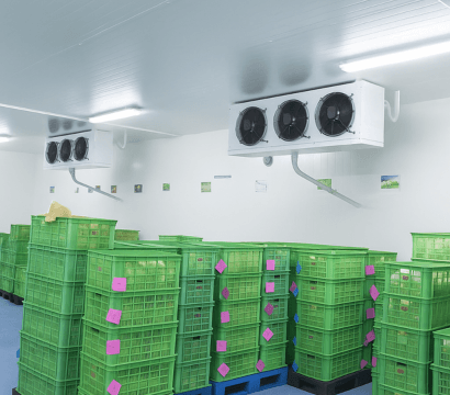 Energy Control for Cold Room Management
